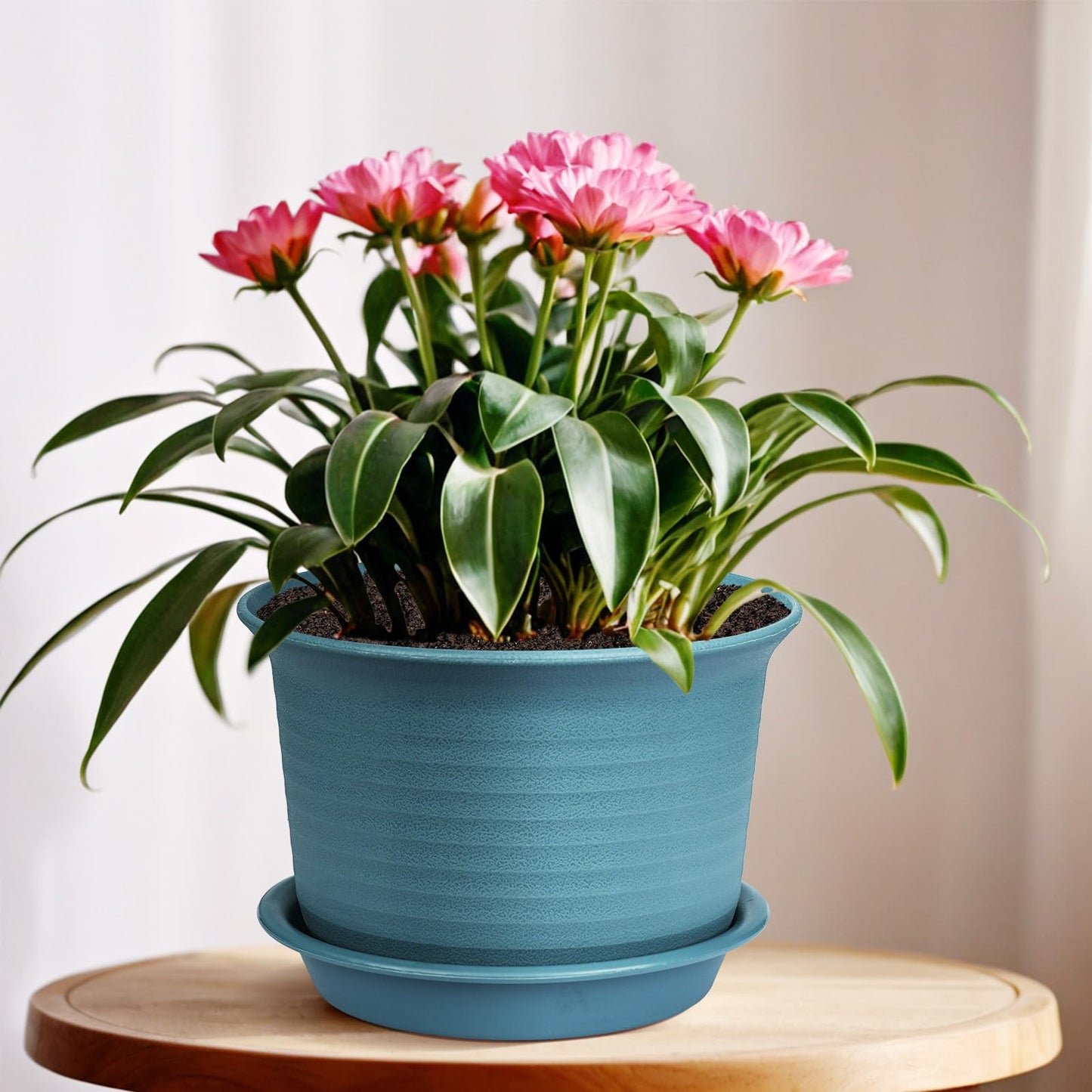 Hayder 6 Inch Plant Pots, 6 Pack Thick Plastic Flower Pots for Plants Indoor Outdoor, Planters with Drainage Holes and Saucers, Mix Color