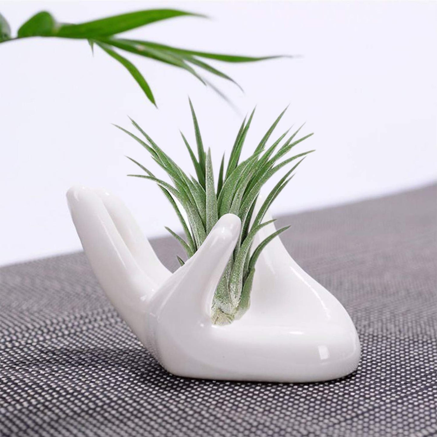 6 Pack Ceramic Air Plant Stand Holder, Hand Shape Tillandsia Airplant Container Pot Tabletop Plant Display Hand Racks for Home Office Decoration Supplies(White)