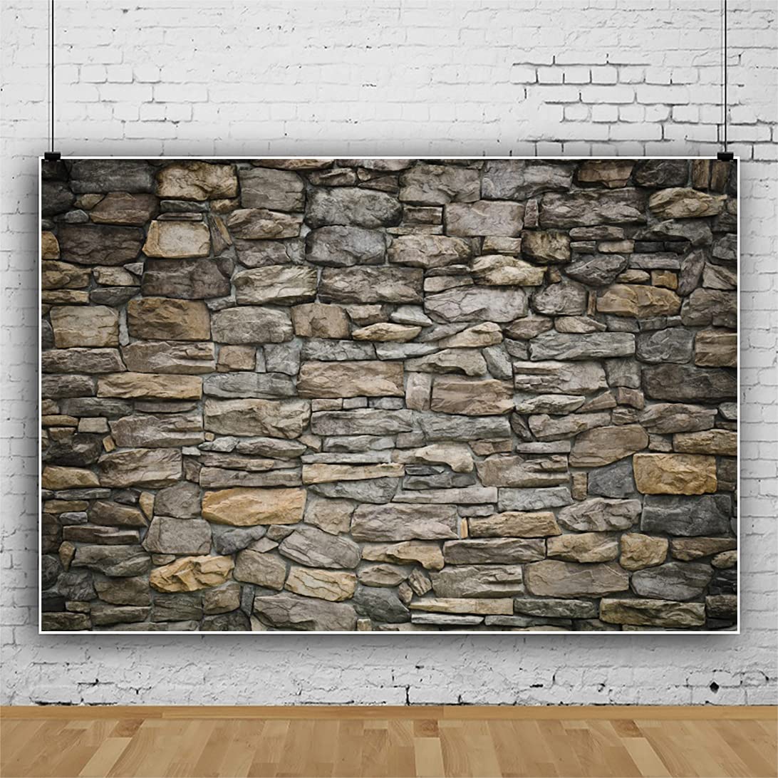 Laeacco 8x6FT Vintage Stone Brick Wall Backdrop Grunge Rock Stone Castle Wall Photography Background Retro Birthday Party Halloween Photo Studio Newborn Baby Shower Adults Portrait Photo Shooting