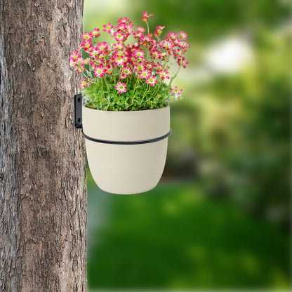 Greemov 6 Pack 4 Inch Wall Flower Pot Holder Ring Plant Hanger, Metal Planter Hooks Wall Mounted Bracket Heavy Duty for Outdoor Indoor