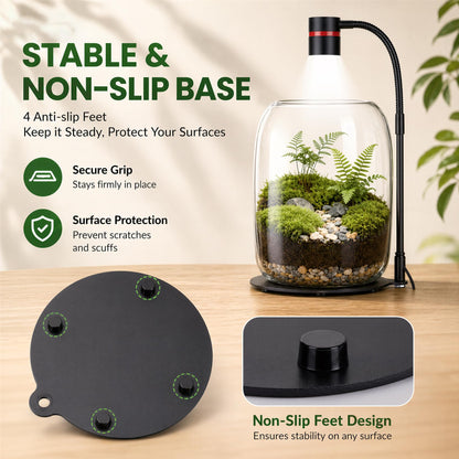Yeeweek Glass Plant Terrarium with LED Grow Light(H:8.46" D:5.9"), Desktop Terrarium for Venus Fly Trap, Moss & Succulents, Borosilicate Indoor Planter for Home Office Decor