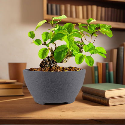 TINYVISTA 7” Gray Unglazed Bonsai Pot with Drainage Holes - Ceramic Clay Planter for Ficus Trees, Succulents & Indoor Plants, 3.3" High Round