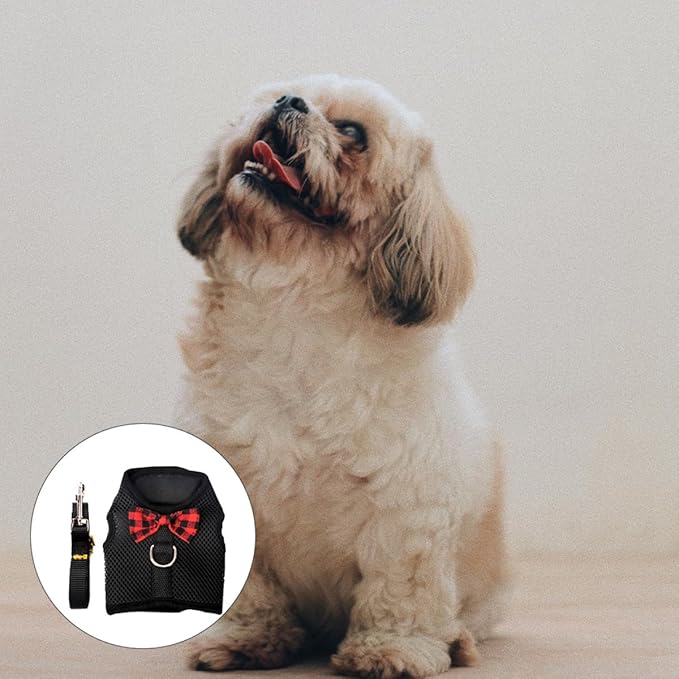 Beaupretty Small Animal Pet Vest Harness with Breathable Mesh, No-Pull Chest Strap for Rabbits, Guinea Pigs, Squirrels, Black Large (Chest 35-40cm)