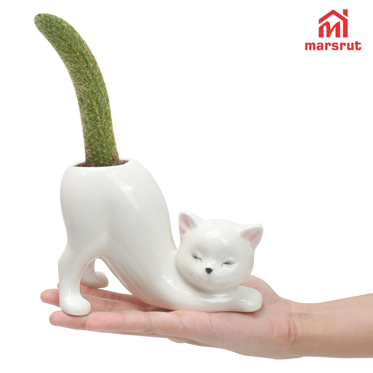 Cute Cat Planter Pot Indoor Flower Vase, Kitty Sloth Plant Holder Butt Shaped, Unique Tailless Succulent Ceramic Animal Display, Ceramic Bonsai Gift, Lovely Office Desk Living Room Home Outdoor Decor