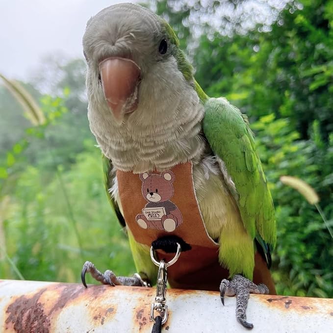 Bird Diaper Harness Flight Suit Clothes, Parrot Flight Suit with Leash for Parrot, Bird Flying Clothes with Rope and Handle for Outdoor Activities Training (Green-cheeked Conure,Without Leash)