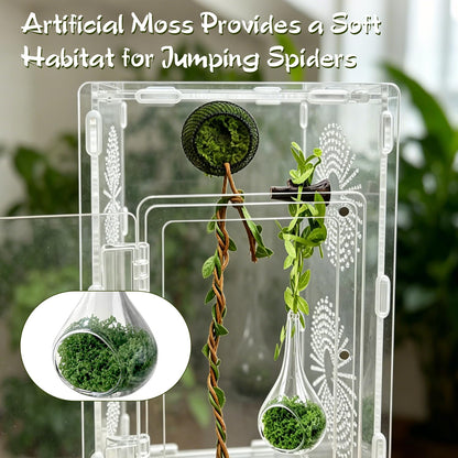 Jumping Spider Accessories, 7-Piece Set with Hidden Glass Sphere Habitat, Cloud Ledges, Tree Branches, and Realistic Moss for Spider Habitats and Terrarium Decorations (7, Orange)