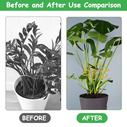 5 Pcs Plant Stem Support, Iron Monstera Plant Support, Durable Hook Stem Supports for Healthy Growth, Bamboo Clamp Set for Leaf Stabilization and Support, Ideal Present for Plant Lovers (6.5IN*6.5IN)