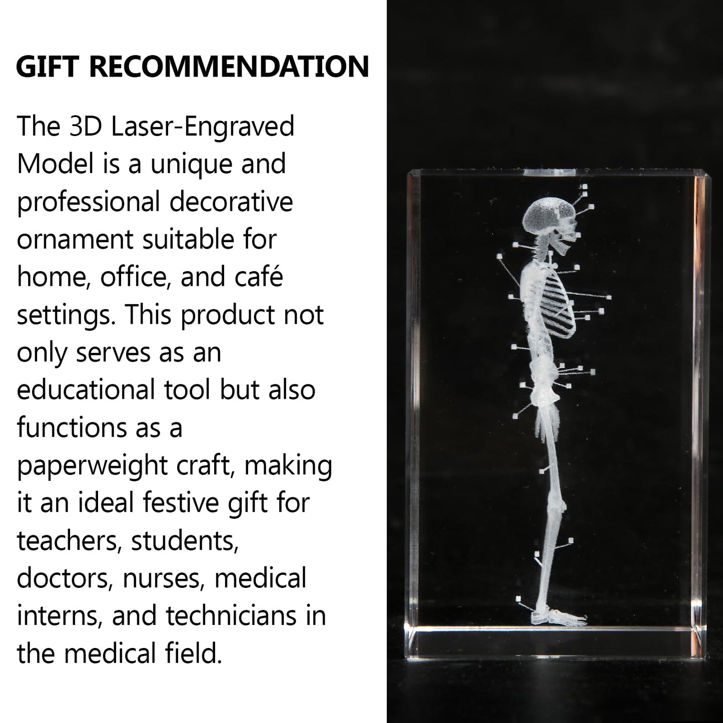 3D Human Skeleton Crystal Model Skeletal Anatomical Model for Home and Office Decoration, Unique Gift for Doctors and Students