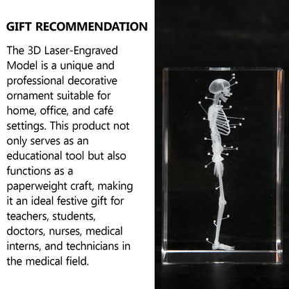 3D Human Skeleton Crystal Model Skeletal Anatomical Model for Home and Office Decoration, Unique Gift for Doctors and Students