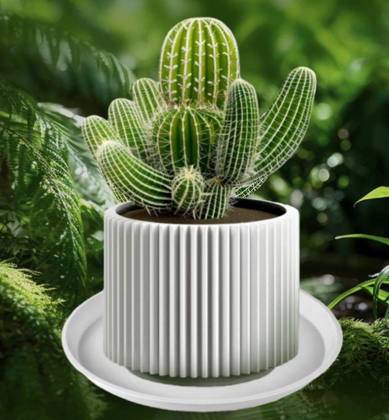 Kichwit 13.5 Inch Plant Saucer (12 Inch Base), 4 Pack Round Plastic Plant Trays for Indoor & Outdoor, White