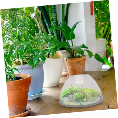 FONDOTIN Micro Landscape Bottle for Home Decor Borosilicate Glass Terrarium Holder Decorative Plant Ecosystem Container for Small Indoor Plants
