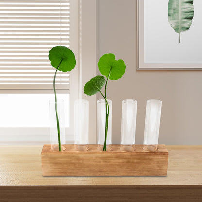 GRIRIW Glass Hydroponic Planter with 5-Hole Wooden Stand, Indoor Plant Terrarium Vase for Water Propagation, Test Tube Bud Vase for Home and Office Décor