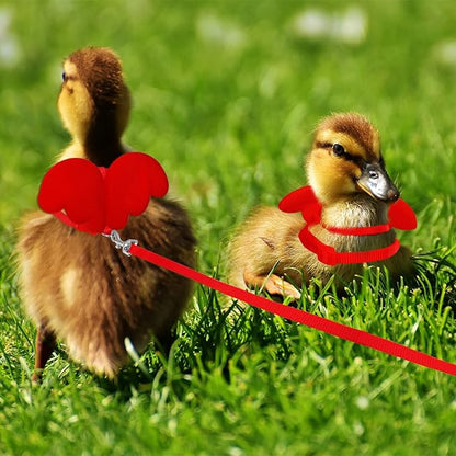 KAMA BRIDAL Duck Walking Harness and Leash Chicken Duck Outdoor Training Rope Adjustable Rope for Pet Poultry Hen Cock (M, Red)