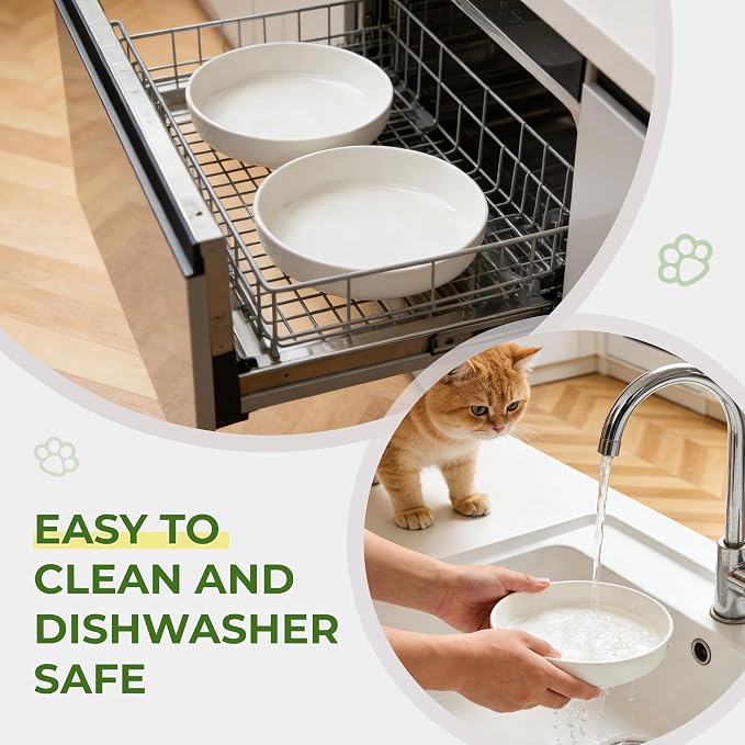 Raised Ceramic Cat Bowl 6.3" Wide Shallow Flat Bottom (1 Pack) | Neck Protective, Anti Whisker Fatigue, Anti Vomit, Dishwasher Safe, For Dry and Wet Food, For Kittens & Seniors