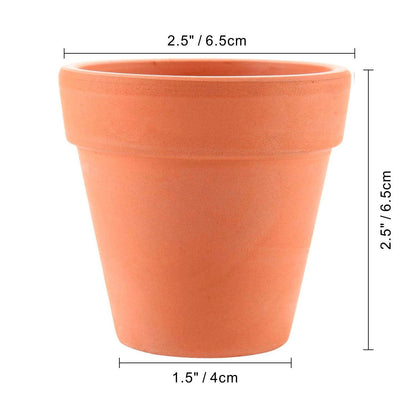 T4U 2.5 Inch Terracotta Clay Pots Pack of 12 - Mini Hand Craft Nursery Plant Pot Succulent Cactus DIY Pottery Planter Home Garden Windowsill Decoration Christmas Gift