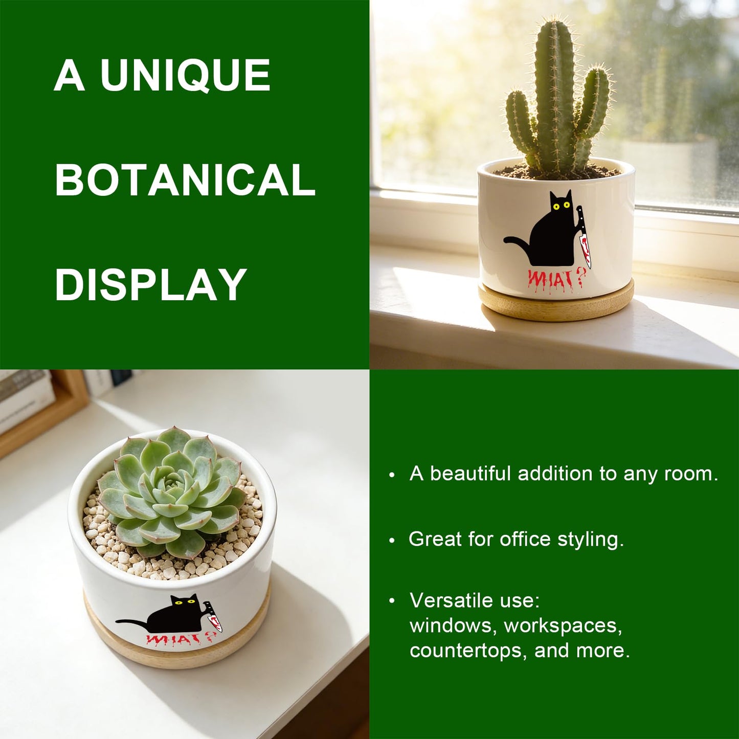 Funny Hello Black Cat Ceramic Plant Pot for Succulent, Cute Cat Cactus Flower Planter for Windowsill Indoor Decor, Home Office Decoration for Plant Lovers Friends Owner Lover (No Plants) (What)