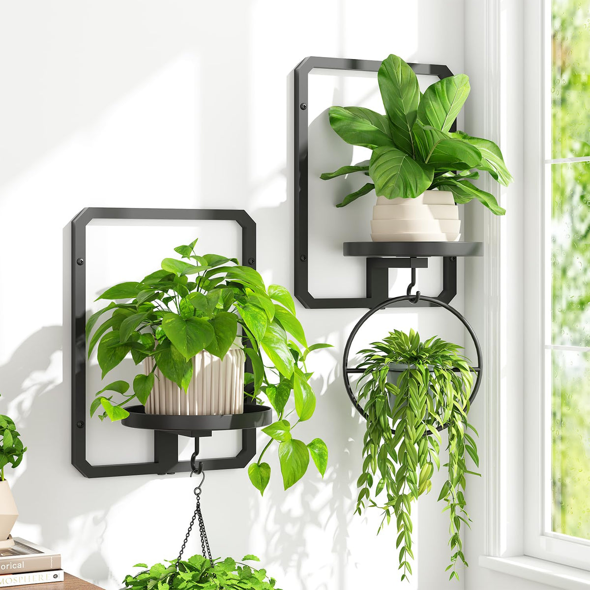 iDavosic.ly Wall Plant Picture Frame Holder Set of 2 for Indoor, Metal Stand with Hanging Hooks, Floating Flower Display Decor, Space Saving & Easy to Assemble (Pots/Chains/Plants Not Included)