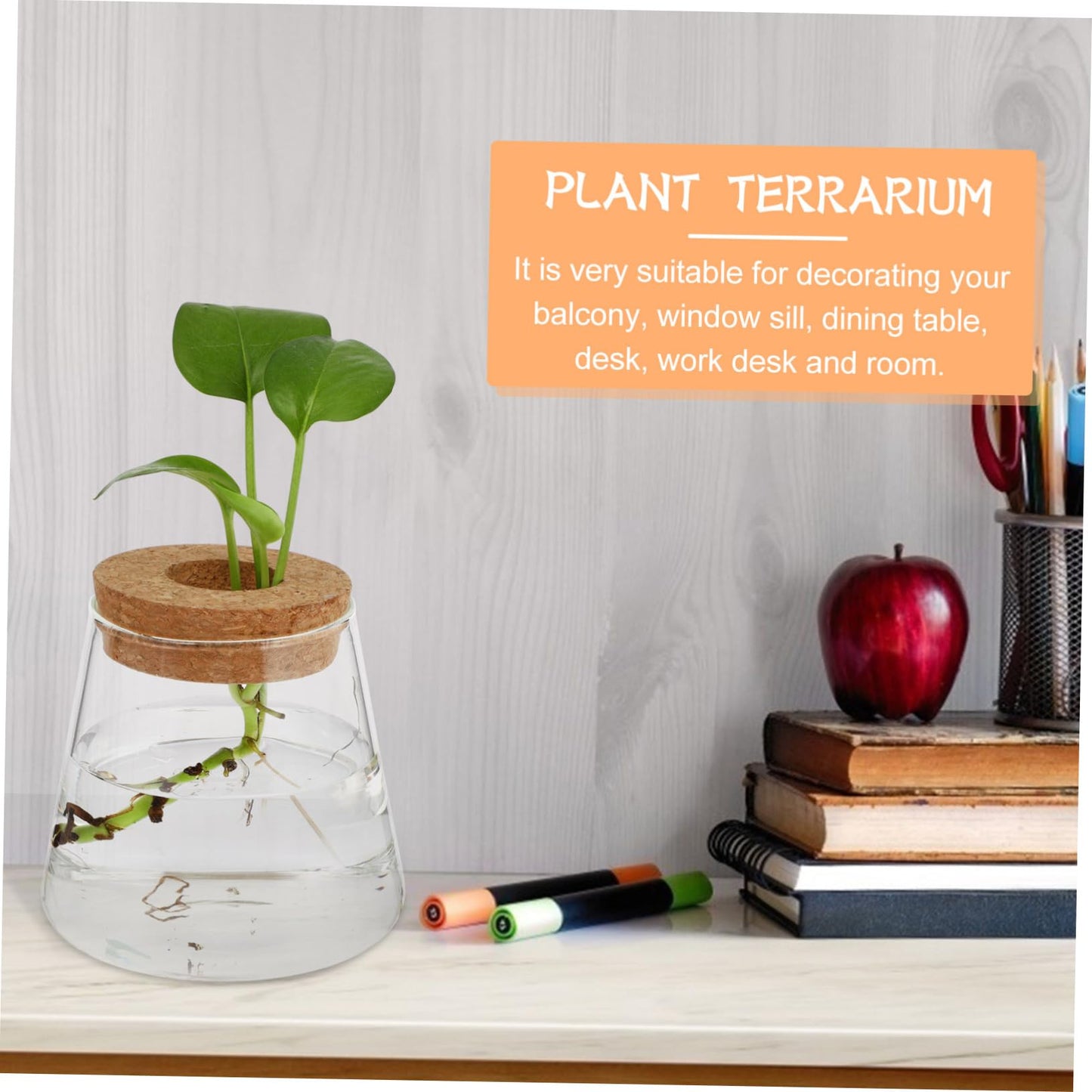 Ciieeo 2Pcs Glass Desktop Planter Vase for Hydroponics Chic Terrarium for Indoor Plants Home Office Decoration for Floral Arrangements and Plant Propagation