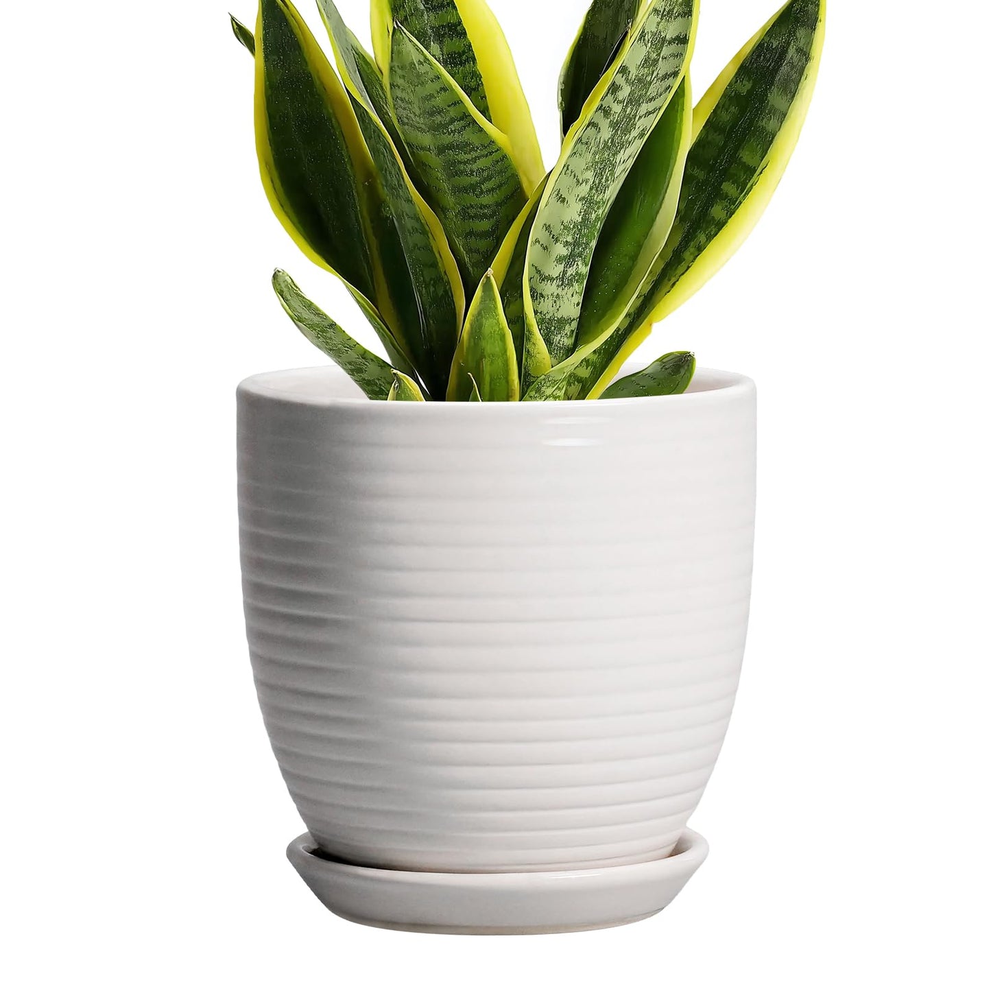 EPFamily Ceramic Pots for Plants - 6 Inch Plant Pot with Drainage Hole and Saucer, Round Planters for Indoor Outdoor, Flower Pots, Modern Planter, Home Office Room Decor, Gifts for Plant Lovers, White