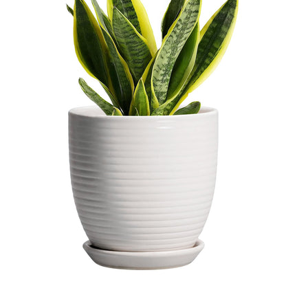 EPFamily Ceramic Pots for Plants - 6 Inch Plant Pot with Drainage Hole and Saucer, Round Planters for Indoor Outdoor, Flower Pots, Modern Planter, Home Office Room Decor, Gifts for Plant Lovers, White
