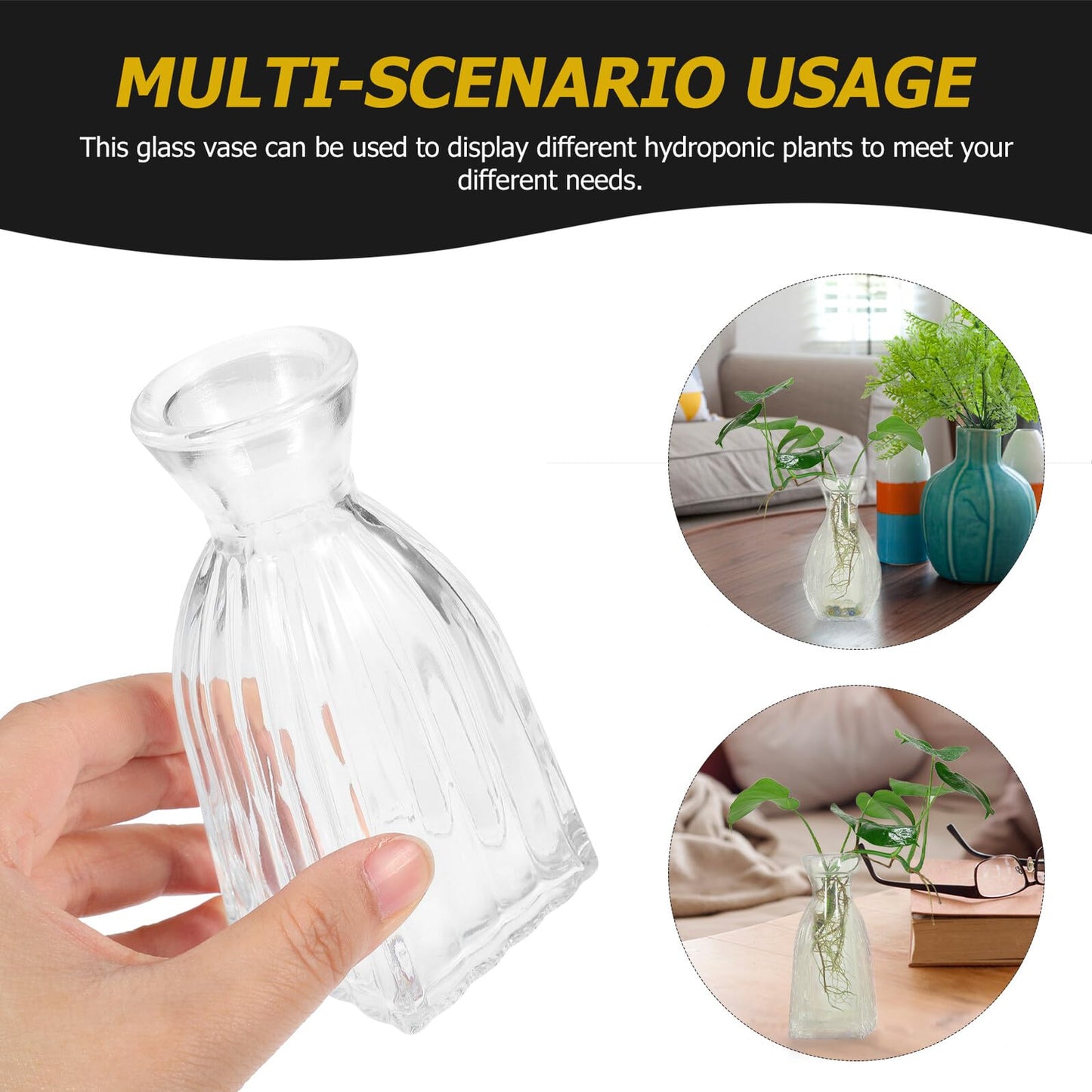 Zerodeko 4pcs Glass Hydroponic Flower Vases Small Desktop Indoor Glass Bud Vases for Home Decor and Terrarium Plant Arrangement