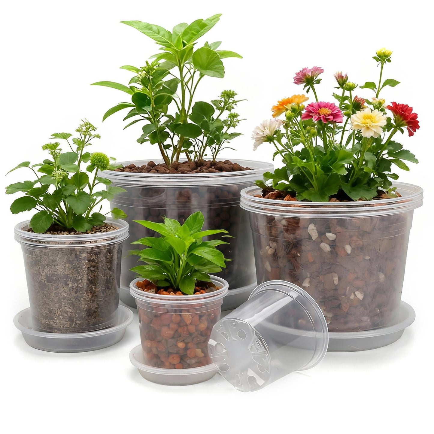 GUGEMEI 10/8/6/4 Inch Clear Nursery Pots with Drainage Holes and Saucers, 12 Pack Large Clear Pots for Plants Variety Pack, Plastic Nursery Pots for Succulents, Seedings, Herbs, Flowers, Vegetables
