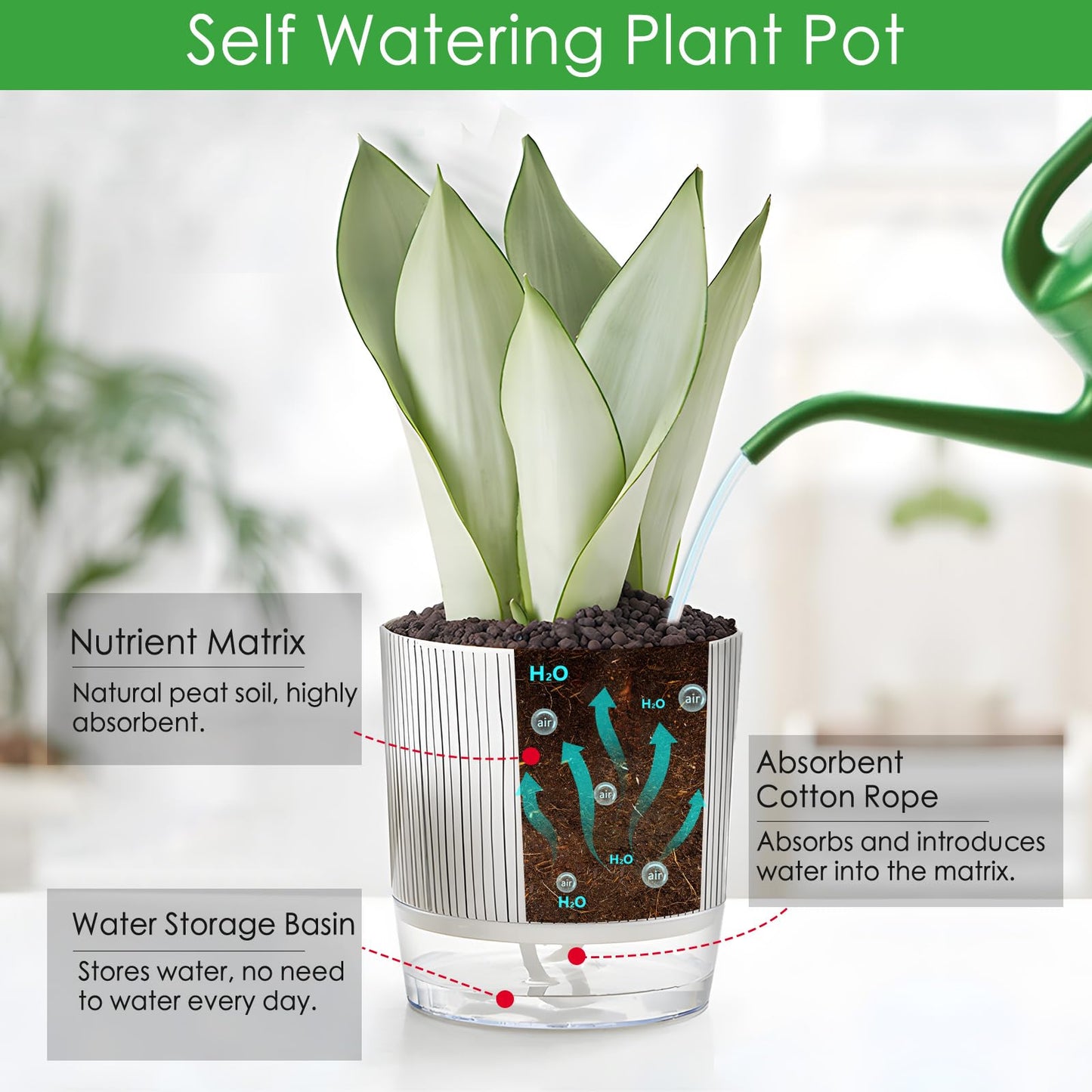 CWYEYE 6 Pack Self Watering Pots for Indoor Plants, Flower Planters with Wick Rope & Reservoir, 4" + 5.5" Plastic Pots for African Violet, Orchid, Succulent, Herbs