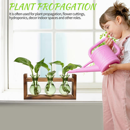 Plant Propagation Station Plant Terrarium Unique Birthday Gifts for Women Home Office Decor Planter with Wooden Stand - 3 Bulb Glass Vase