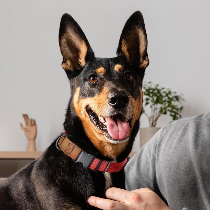 Mile High Life Genuine Leather Dog Collar, Soft Cotton Pet Collars with Heavy Metal Buckle for Small Large Dogs (Red, L Neck 17"-21")
