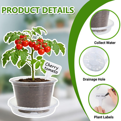 CAKKVDE 36 Pack Clear Nursery Pots with Saucers, 3.5/4/5 Inch High Transparency Plastic Plant Pots with Drainage Holes, Variety Pack for Propagation, Seed Starting, Succulents, Herbs and Vegetables