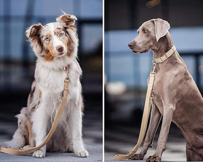 Soft Leather Dog Collar and Leash (6.6') Set - Stylish Rose Gold Heavy Duty Metal Buckle, 4 Adjustable Lengths Leash for Small Medium Large Dogs - Comfortable & Easy to Clean Beige M(13.8"-19.7")
