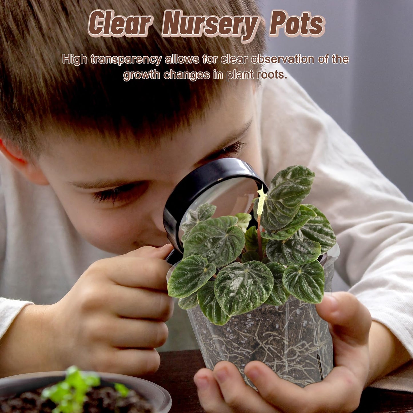 VIOBEPASS Clear Nursery Pots with Drainage, 40 Pack Transparent Plastic Orchid Planters, 3 Sizes Plant Pots 6/5/4 Inch with 40 Plant Labels for Seedlings, Succulents, Indoor/Outdoor Repotting
