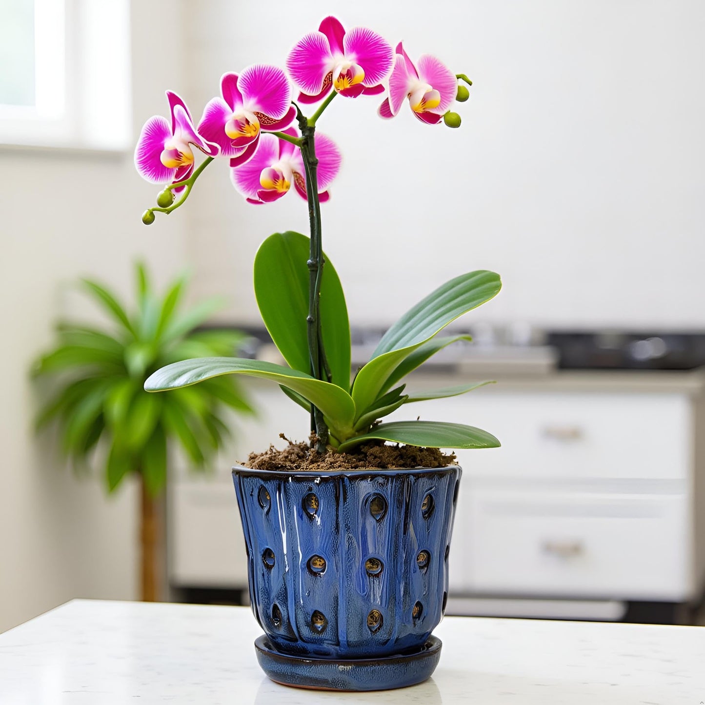 Grdthzey Orchid Pots 4.9 inch Round Ceramic Orchid Pots with Holes Set of 2 (SkyBlue+White with Lemon Green)