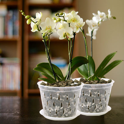 lanccona Orchid Pot, 8 Inch 4 Pack Orchid Pots with Holes and Saucers, Clear Plastic Orchid Pots