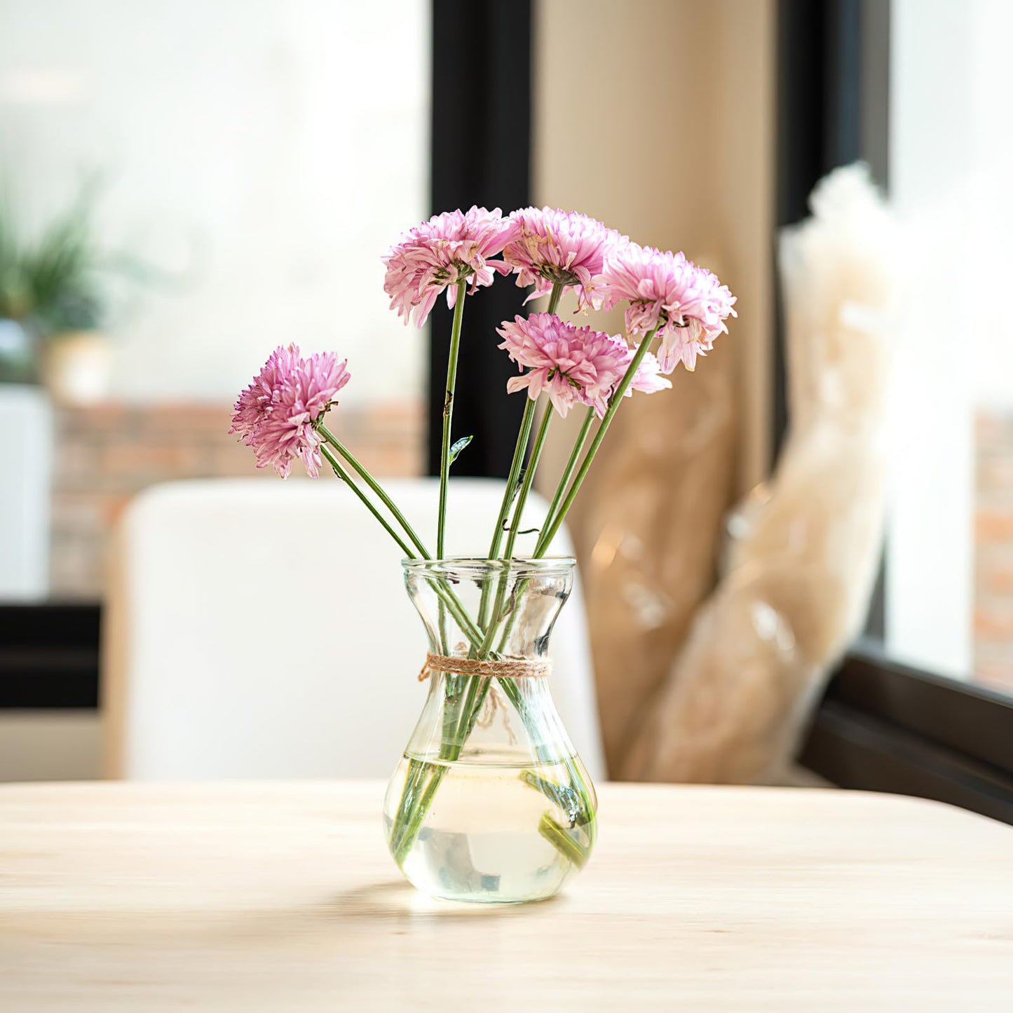 Angoily 4pcs Small Glass Hydroponic Flower Vases for Hyacinth Bulb Growing, Decorative Bud Vases for Home Office Centerpieces and Plant Terrariums