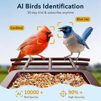 PeckCam® Bird Feeder with Camera Solar Powered, AI Identify & Auto Capture, 2K HD Live Video Smart Bird Feeder Camera Instant Notifications in Backyard, Gift Bird Lovers