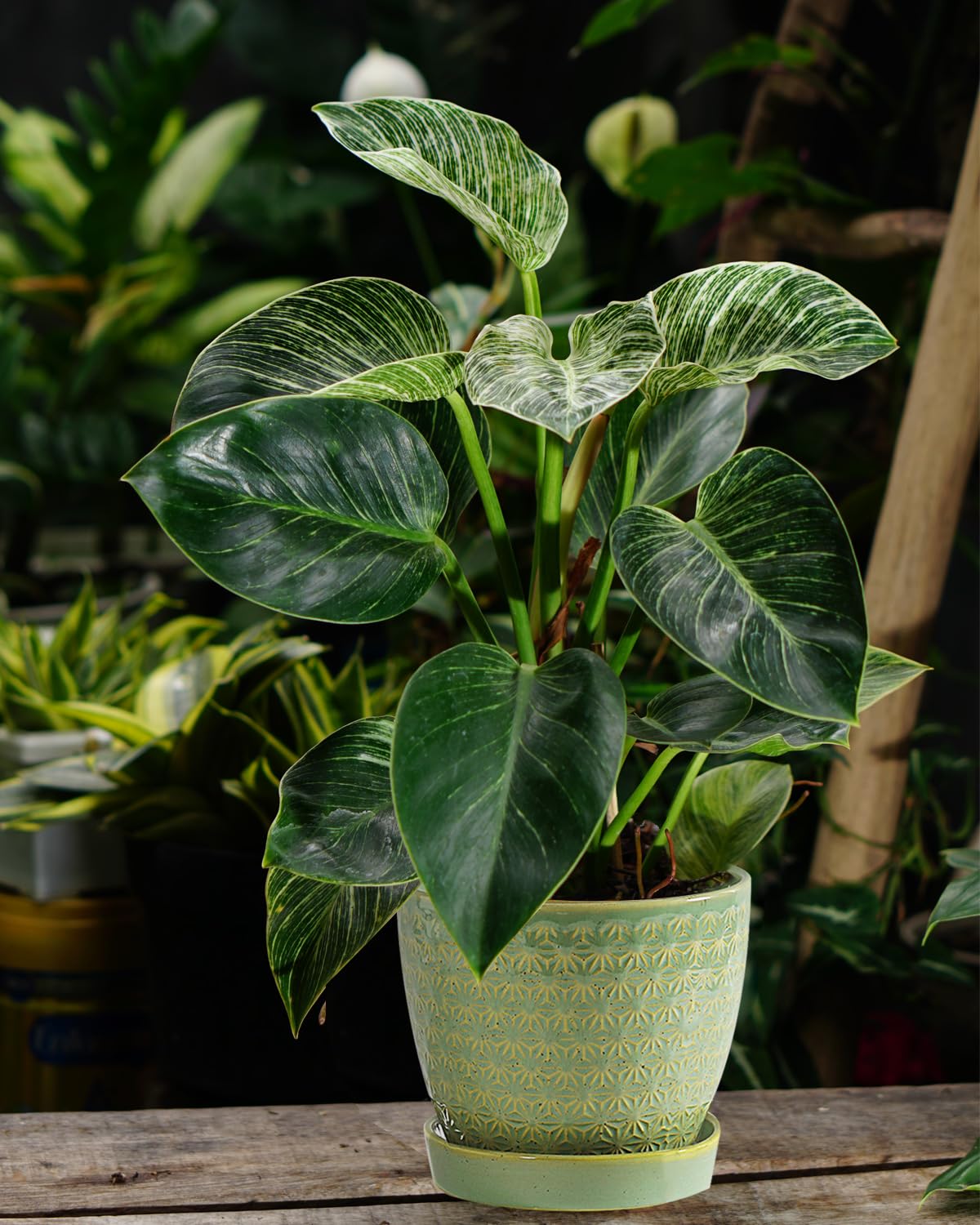 Plant Pots, Flower Pots, Planters for Indoor Plants(6.5+5.5inch), Flower Pots for Indoor Plant with Drainage Hole and Saucer, Ceramic Pots for Plants with Hole Mesh Pad,Sage Green