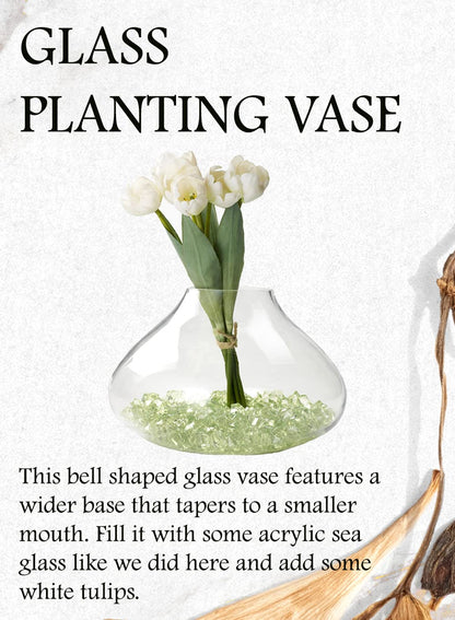 Serene Spaces Living Small Clear Glass Terrarium Vase, Glass Succulent Planter, Bell-Shaped Plant Orb, Modern Floral Vase for Centerpiece, Indoor/Outdoor Decor, Measures 11.5" Diameter & 8" Tall