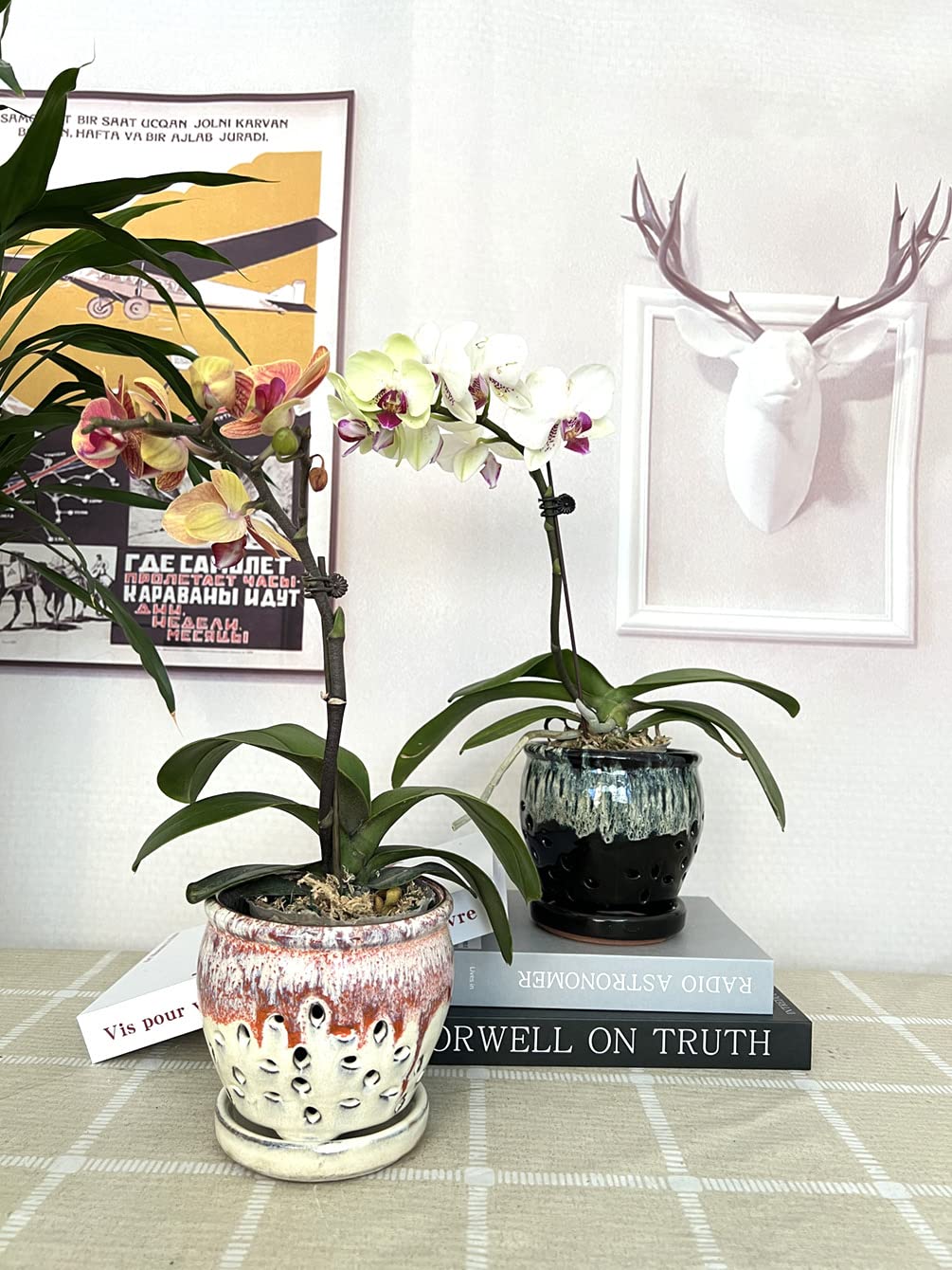 Beitewei 2PCS Small Ceramic Orchid Planter Pots with Holes 4.33inch Ceramic Planters for Orchid Repotting(Black&White)