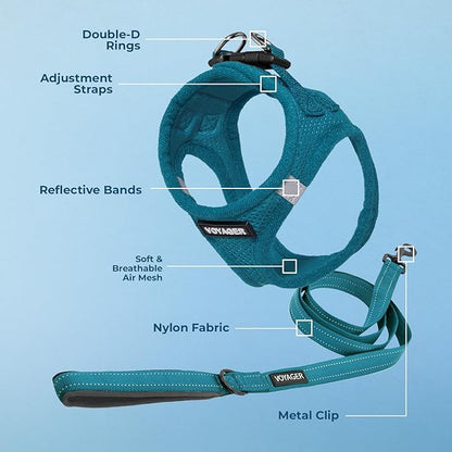 Best Pet Supplies Voyager Step-in Air All Weather Mesh Harness and Reflective Dog 5ft Leash Combo with Neoprene Handle, for Small, Medium and Large Breed Puppies - Turquoise, X-Large