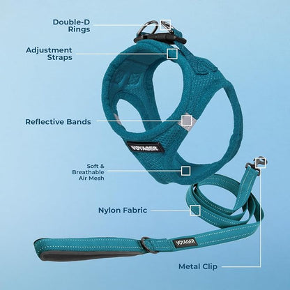Best Pet Supplies Voyager Step-in Air All Weather Mesh Harness and Reflective Dog 5ft Leash Combo with Neoprene Handle, for Small, Medium and Large Breed Puppies - Turquoise, X-Small