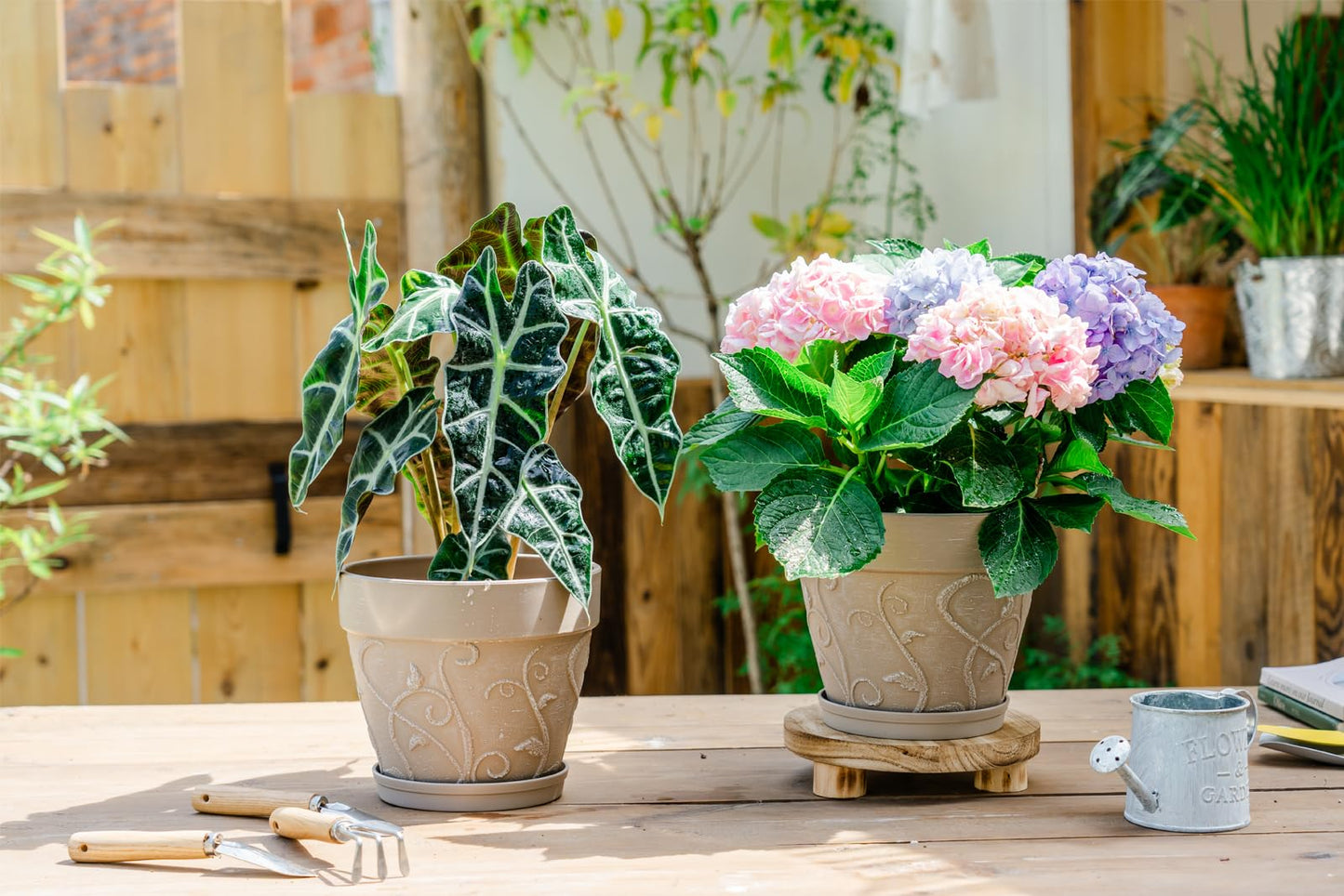 Melphoe Plant Pots Indoor with Drainage & Saucer, 2Pack 8 inch Flower Pots Outdoor Planters for Indoor Plants Garden Home Decor Cactus Succulent, Rigid Plastic (Imitation-Terracotta) Vine-Embossed