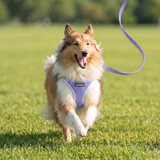 Best Pet Supplies Voyager Step-in Air All Weather Mesh Harness and Reflective Dog 5ft Leash Combo with Neoprene Handle, for Small, Medium and Large Breed Puppies - Lavender, XS