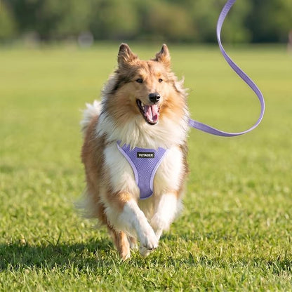 Best Pet Supplies Voyager Step-in Air All Weather Mesh Harness and Reflective Dog 5ft Leash Combo with Neoprene Handle, for Small, Medium and Large Breed Puppies - Lavender, L