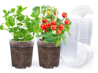 homenote Clear Nursery Pots for Plants,6.7 Inch Plant Pot for Planting Plastic Seedling with Drainage Holes Seed Starter Flower High Transparency with 20 Labels (15 Pack)