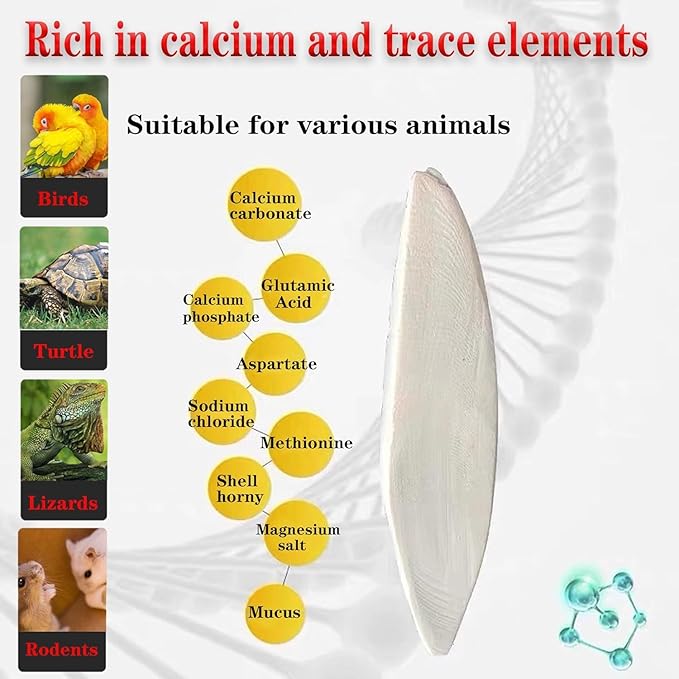 Bird Cuttlebone for Parakeets Cuttlebone for Birds - 101% Natural Cuttlefish Bone Bulk Chew Toy Bird Bites Calcium Stone for Canaries Tortoises,Snails,Reptiles,Parrots,Cockatiel