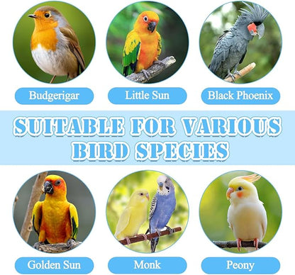 Bird Leash with 4 Different Size Foot Ring, Parrot Flying Rope Elastic Bird Harness Flying Leash Outdoor Training Traction Rope for Conure Cockatiel Parakeet Macaw Budgerigar