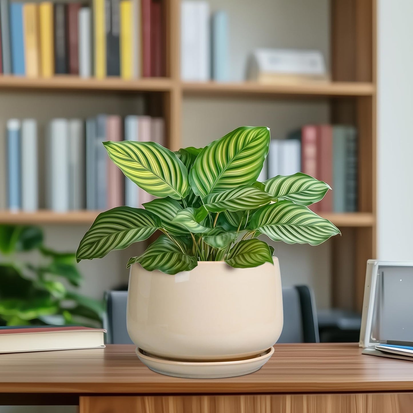 G EPGardening Ceramic Planter - 7 Inch Plant Pots with Drainage and Ceramic Tray, Flower Pots for Indoor Plants, Round Outdoor Planter, Room Decor, Gifts for Plant Lovers, Beige