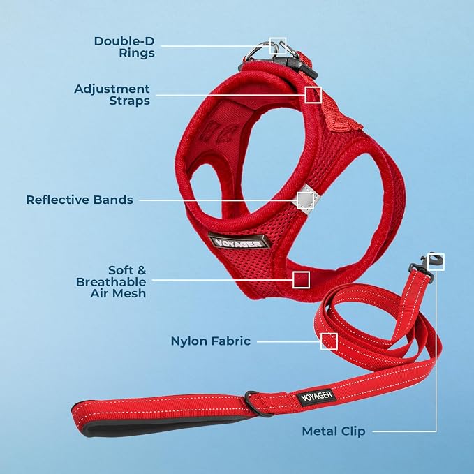Best Pet Supplies Voyager Step-in Air All Weather Mesh Harness and Reflective Dog 5ft Leash Combo with Neoprene Handle, for Small, Medium and Large Breed Puppies - Red, Medium