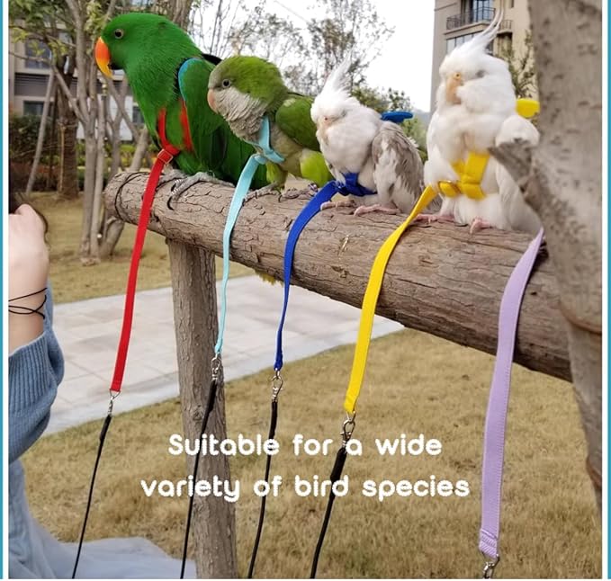 3 Pack Adjustable Bird Harness with Elastic Leash, Pet Parrot Harness and Leash, Adjustable Training Design Anti-Bite, Bird Nylon Rope with Cute Wing for Conure African Grey (XXL)